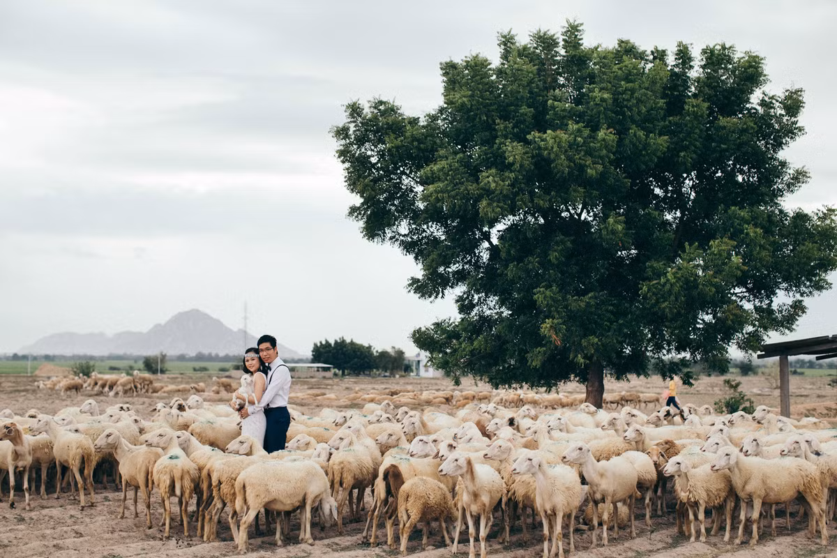 Sau 11 năm cùng nhau trải qua mọi cung bậc cảm xúc trong tình yêu, Đức và Ngọc đã quyết định sẽ về chung một nhà vào tháng 3 năm sau. Vừa qua, đôi bạn đã về nước để thực hiện bộ ảnh cưới tại thành phố biển Nha Trang xinh đẹp.