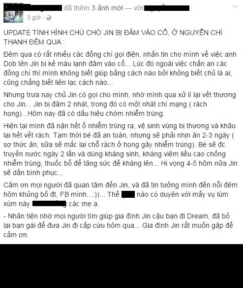 Theo tiết lộ của anh T.Đ thì dựa vào tình hình hiện nay, dự đoán 4-5 ngày nữa "bé" Doberman sẽ có thể ăn uống được trở lại. Anh T.Đ cũng cho biết, anh là người vô tình biết được câu chuyện chú chó Doberman tên Jin, được nhiều bạn bè tin tưởng gọi thông báo, tìm cách liên lạc để anh có thể đến giúp đỡ, cứu chữa cho chú chó bị nạn. Anh T.Đ còn tự nhận là mình có duyên trong sự việc này gửi lời cám ơn tới tất cả những người đã quan tâm tới anh, tới Jin và chủ của nó.