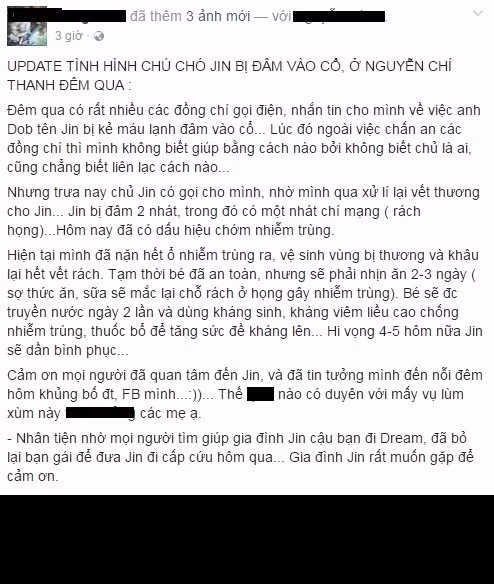 Theo tiết lộ của anh T.Đ thì dựa vào tình hình hiện nay, dự đoán 4-5 ngày nữa "bé" Doberman sẽ có thể ăn uống được trở lại. Anh T.Đ cũng cho biết, anh là người vô tình biết được câu chuyện chú chó Doberman tên Jin, được nhiều bạn bè tin tưởng gọi thông báo, tìm cách liên lạc để anh có thể đến giúp đỡ, cứu chữa cho chú chó bị nạn. Anh T.Đ còn tự nhận là mình có duyên trong sự việc này gửi lời cám ơn tới tất cả những người đã quan tâm tới anh, tới Jin và chủ của nó.
