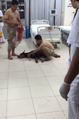 Sẽ là một thiếu sót nếu như không nhắc đến công của anh chàng đi xe Dream đã giúp đưa chú chó Doberman đến bệnh viện. Những hình ảnh được chụp trong bệnh viện cho thấy, chiếc áo của chàng trai thấm đầy máu và anh cố gắng làm mọi cách để cầm máu cho chú chó đang nguy kịch.