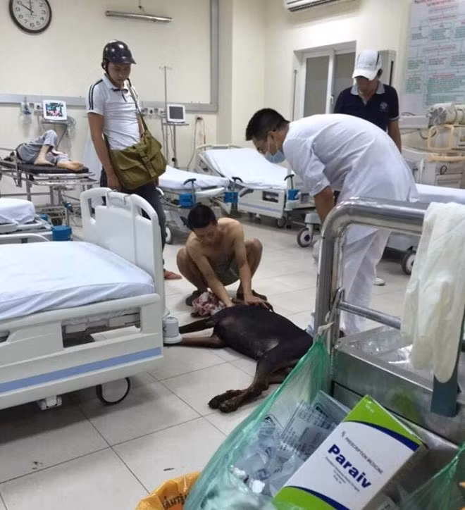 Theo một số nhân chứng, do bệnh viện 354 không thể nhận chữa trị cho động vật nhưng do tình thế nguy cấp, cả chủ nhân và chàng thanh niên đã phải năn nỉ, thậm chí là quỳ lạy để xin các bác sĩ hỗ trợ, sơ cứu để cầm máu được cho chú chó trước khi đưa đến trạm chuyên thú y. Danh tính người hùng đi xe Dream cứu giúp chủ chó Doberman được cho là Nguyễn Duy Tuyên, sinh năm 1994, quê Hòa Bình. Tuyên cho biết, tối hôm đó đang đèo bạn gái đi chơi thì bắt gặp người chủ đang ôm chú chó của mình kêu gào, vẫy taxi nhưng đều bị phớt lờ. Do quá thương và xúc động Tuyên đã bỏ lại bạn gái để đưa chú chó tới bệnh viện. Dù Tuyên đã bỏ lại bạn gái trên phố nhưng sau đó anh cũng không bị trách móc. Ngược lại, khi biết Tuyên có hành động đẹp, cô bạn gái tên Vân sinh năm 1997 còn tỏ ra tự hào về hành động của người yêu mình.