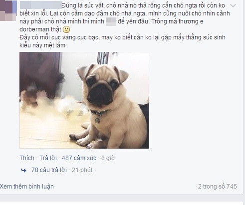 Xoay quanh câu chuyện chưa rõ thực hư trên, một làn sóng phẫn nộ mạnh mẽ từ phía dân mạng trước hành động vô nhân tính của người đàn ông sát hại chú chó vẫn chưa có dấu hiệu suy giảm. Nhiều người còn lên tiếng khuyên chủ của chú chó Doberman nên làm lớn chuyện để đòi lại công bằng cho chú chó của mình. Ảnh trong bài: Beat.vn.