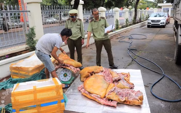  5. Phát hiện 3 tạ thịt heo bốc mùi hôi thối: Tổng Cục Quản lý Thị trường (QLTT) cho biết, cơ quan chức năng vừa khám phương tiện vận tải theo thủ tục hành chính đối với xe ô tô tải mang biển kiểm soát 92C-164.95 tại Km 42 Quốc lộ 26, đoạn qua xã Ea Phê, huyện Krông Pắk, tỉnh Đắk Lắk. Tài xế xe là Hồ Quốc Việt (sinh năm 1982, trú tại huyện Đại Lộc, tỉnh Quảng Nam) thì phát hiện 3 tạ thịt heo bốc mùi hôi thối đang 'tuồn' ra thị trường.