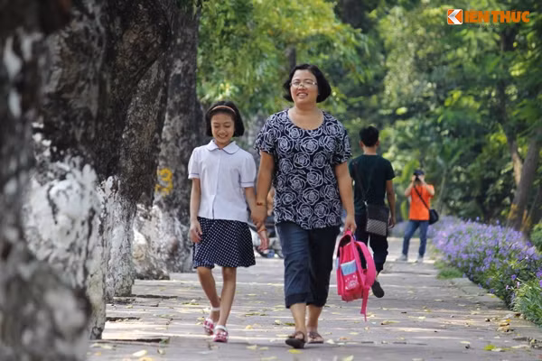 Người Hà Nội bước chầm chậm lần cuối dưới hàng cây xanh trước khi cây bị cắt tỉa cành và di dời đi nơi khác.