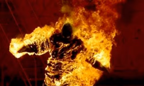 Ảnh có tính chất minh họa.