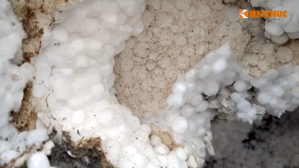 Các hạt xốp trong lớp xốp còn rất mới.