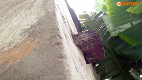 Nhiều cây gỗ phía bên trong nhà còn thò hẳn ra ngoài, khác biệt hẳn so với các nhà khác. Theo thông tin tìm hiểu của PV, trong quá trình đền bù giải phóng mặt bằng, chủ ngôi nhà này không đồng ý với mức đền bù nên quyết định ở lại, không chịu rời đi. Chính quyền đến thương lượng nhiều lần nhưng không thành công, chủ nhà vẫn kiên quyết để ngôi nhà nằm chình ình trên vỉa hè gây cản trở giao thông, mất mỹ quan đô thị.