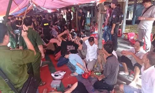 Hon 150 cong an pha soi bac “khung”, bat 80 con bac