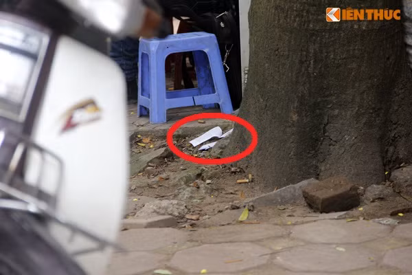 Phao thi được thí sinh vứt ngay gốc cây trước cổng trường ĐH Thủy Lợi sau khi kết thúc môn thi Lịch sử kỳ thi THPT Quốc gia 2016.