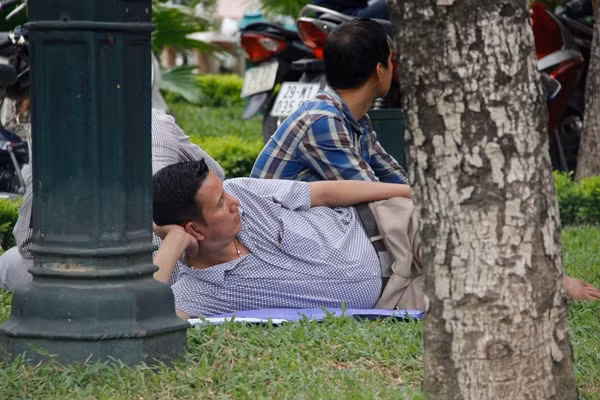 Phụ huynh nằm hẳn lên bãi cỏ chờ con đi thi.