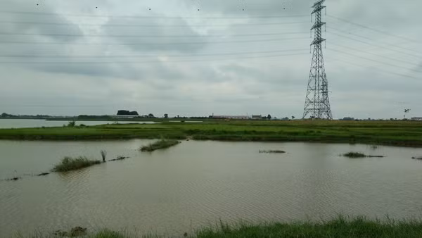 Khu vực hiện trường nơi xảy ra vụ đuối nước thương tâm khiến 5 cháu nhỏ tử vong.