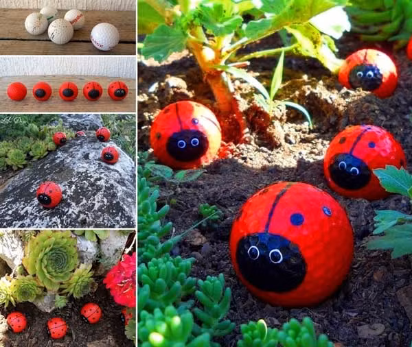 Sân vườn nhà bạn sẽ nổi bật hơn với những con bọ cánh cam ấn tượng được làm từ quả bóng golf.