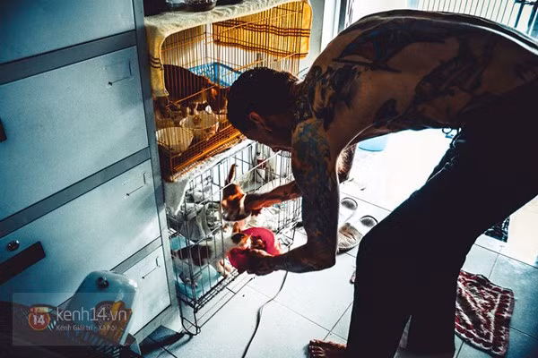 Leo cho biết, anh may mắn có được những người bạn và các nhà hảo tâm thường xuyên mua tặng thức ăn cho chó mèo để hỗ trợ anh.