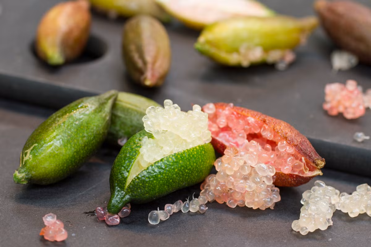 Tép bên trong quả chanh Finger Lime là những hạt nhỏ nhìn khá giống với trứng cá.