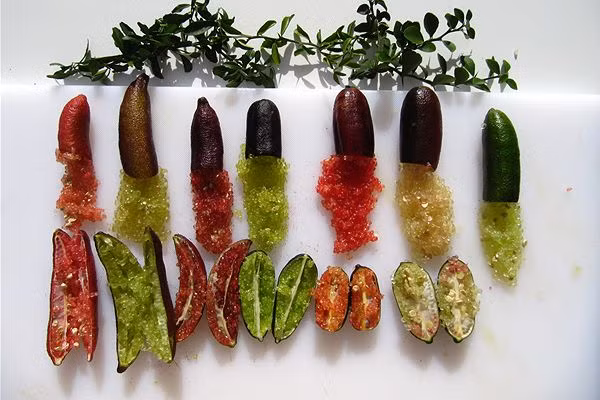 Người dân ở xứ Úc thường dùng chanh ngón tay để trang trí thức ăn bởi nó có màu sắc bắt mắt.