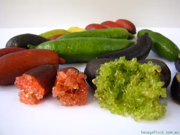 Loại cây này cho nhiều trái có màu khác nhau lạ mắt như xanh, vàng, hồng, đỏ, tím và đen.