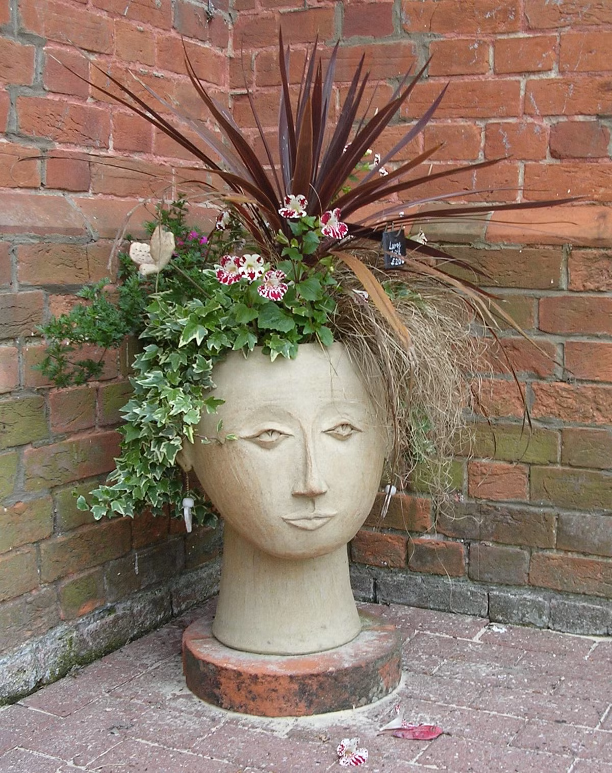 Bạn cũng có thể trồng nhiều loại hoa cỏ cùng một lúc trong chậu.