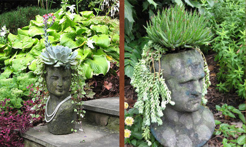 Những chậu hoa đá dễ thương.