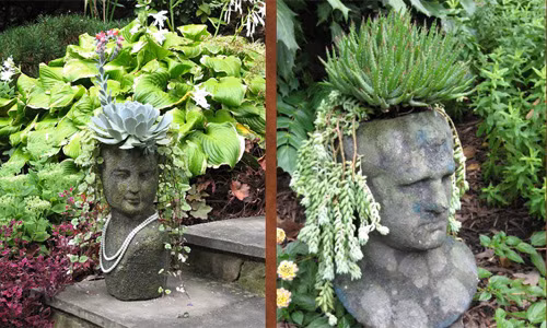 Những chậu hoa đá dễ thương.