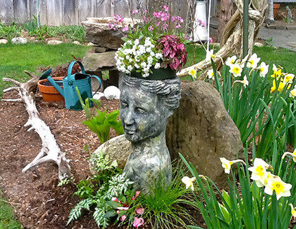 Chỉ cần thường xuyên tưới tắm, chậu hoa độc đáo của bạn sẽ nở rộ.