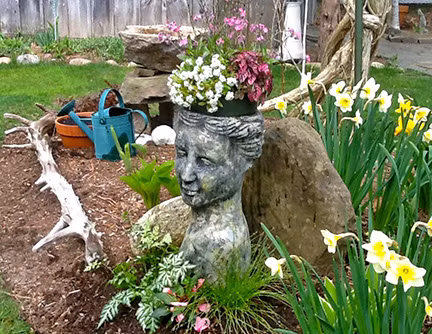 Chỉ cần thường xuyên tưới tắm, chậu hoa độc đáo của bạn sẽ nở rộ.