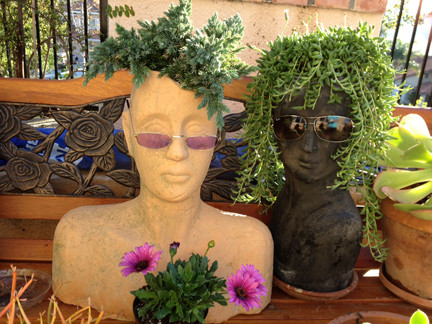 Chắc chắn, chậu hoa lạ mắt sẽ thu hút được sự chú ý của nhiều người.