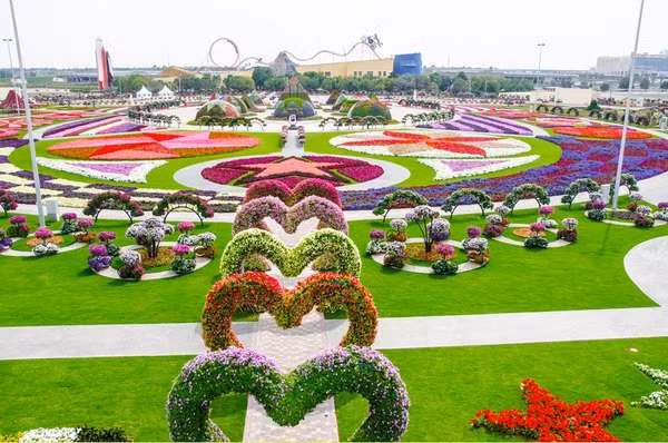 Dubai cũng sở hữu vườn hoa lớn nhất thế giới có tên Miracle Garden (khu vườn Kỳ diệu). Với diện tích hơn 72.000 m2, vườn hoa Miracle Garden ở Dubai là nơi có hơn 45 triệu bông hoa khoe sắc. Có ít nhất 45 màu sắc tự nhiên được tìm thấy trong vườn Miracle Garden.
