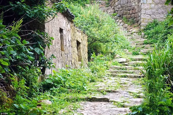 Con đường dẫn vào ngôi làng cũng mọc đầy cỏ xanh.