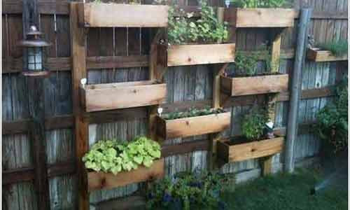 Bạn cũng có thể tạo nhiều máng nhỏ để trồng cây trang trí sân vườn.