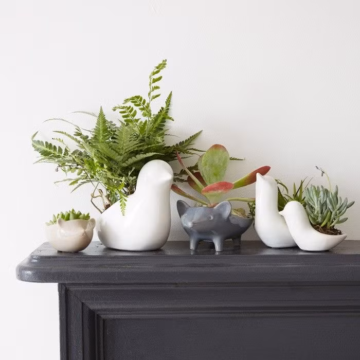 Những chậu hoa tô điểm cho căn phòng xanh tươi hơn.