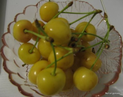 Không chỉ được ưa chuộng ở Mỹ, cherry vàng đã trở thành loại trái cây phổ biến nơi xa xôi như Anh, châu Âu, Australia và Nhật Bản.