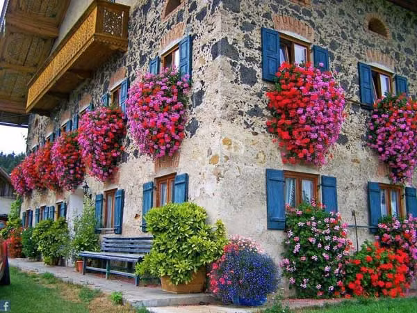 Cach trang tri ban cong nha bang hoa cuc ky man nhan-Hinh-7