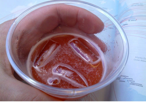 Có bao giờ bạn tự hỏi tại sao hành khách trên các chuyến bay thường uống nhiều nước ép cà chua? Theo một nghiên cứu của hãng bay Lufthansa, khi máy bay cất cánh, xoang mũi chịu tác động của áp suất không khí khiến con người có xu hướng thèm ăn đồ chua và mặn.