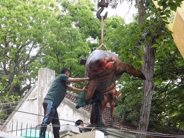 Dai gia choi ngong mua ca map xe thit an choi