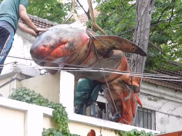 Dai gia choi ngong mua ca map xe thit an choi-Hinh-2