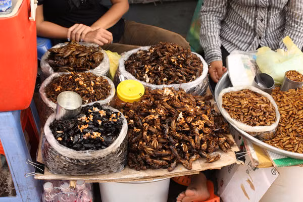 Những món côn trùng bày bán tại khu chợ được chế biến và tẩm gia vị rất thơm khiến cho du khách bị mê hoặc nhưng chắc rằng không phải ai cũng đủ can đảm để ăn thử.