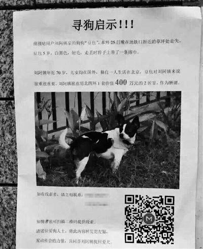 Treo thưởng biệt thự 14 tỷ để tìm chó: Vào cuối tháng 5, giới truyền thông rộ lên tin một nữ đại gia Trung Quốc sẽ trao tặng cả một ngôi nhà trị giá 4 triệu NDT (tương đương 14 tỷ đồng) cho ai có thể tìm lại được chú chó cưng của bà. Đã có rất nhiều gọi điện cho cụ Li báo rằng đã tìm thấy chú chó cưng của bà nhưng tất cả đều không phải.