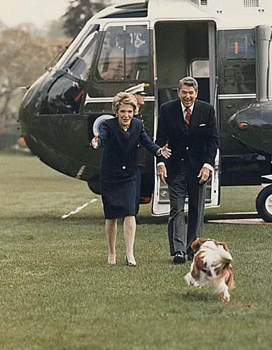 Chú cún cưng tên Rex mừng rỡ ra đón Tổng thống Ronald Reagan và Đệ nhất phu nhân Nancy.
