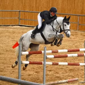 Nhung cong viec ky la luong cao ngat-Hinh-6