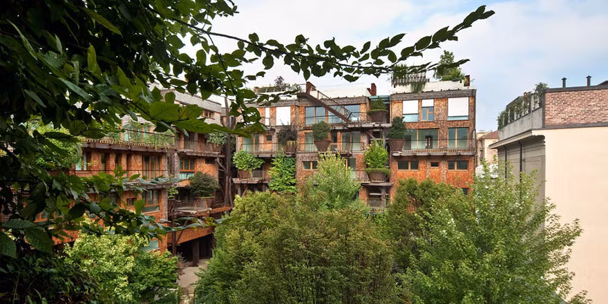 Vào mùa hè, cây lá xanh tốt không chỉ làm đẹp mà còn giữ mát cho cả khu dân cư.