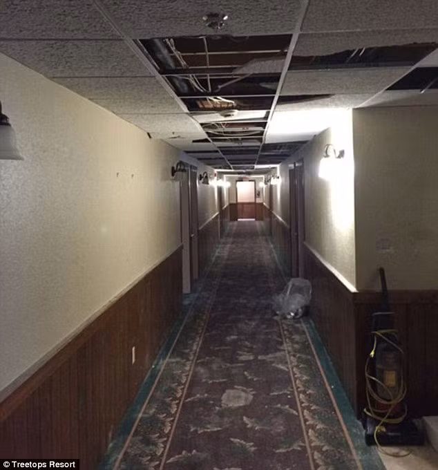 Barry Owens, người quản lý của khu nghỉ mát Treetops Resort, cho biết, 45 phòng khách sạn cho các nhóm sinh viên thuê đều bị rơi vào tình trạng tồi tệ nhất sau khi họ rời đi.