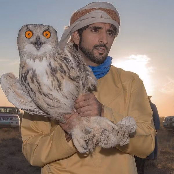 Dù có nhiều con trai nhưng Vua Sheik Mohammed bin Rashid Al Maktoum đã chỉ định Hoàng tử Hamdan bin Mohammed bin Rashid Al Maktoum làm Thái tử Dubai và là người thừa kế ngai vàng Dubai – một trong những hoàng gia giàu có nhất trên thế giới.