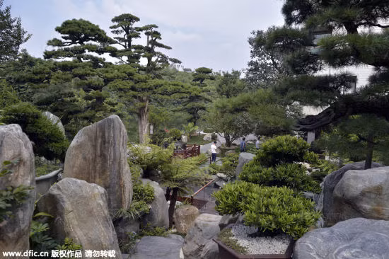 Để xây dựng các công trình đá, đại gia này còn thuê cả một nhà làm vườn tài ba từ Quảng Đông với số tiền công là hơn 200.000 NDT.