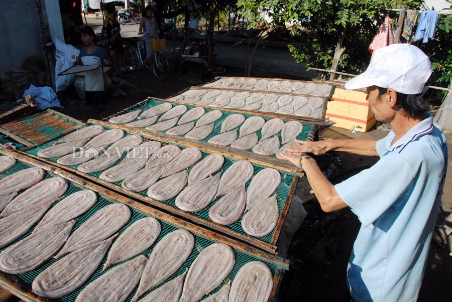 Còn tại xã Vĩnh Hội Đông, huyện An Phú (An Giang) làng sản xuất khô rắn đang tất bật vào mùa cao điểm với những chuyến hàng cung ứng cho thị trường.