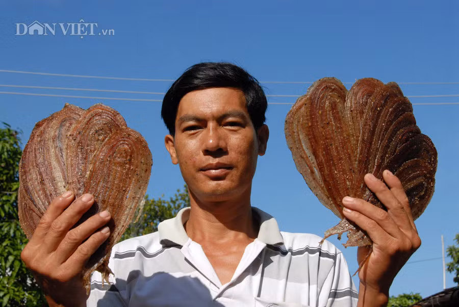 Anh Lê Văn Tiểu, người chuyên làm khô rắn ở xã Vĩnh Hội Đông, cho biết: Trung bình 12 kg rắn tươi cho ra 1kg khô rắn. Do vậy, giá khô rắn cũng rất cao, từ 200.000 - 400.000 đồng.