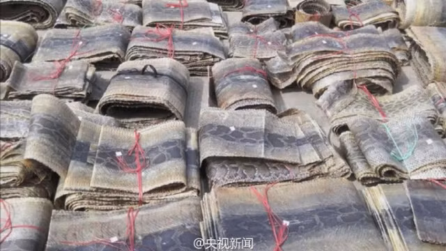 Trăn được coi là một loại động vật quý được bảo vệ trên toàn Trung Quốc, các giao dịch và việc buôn lậu sản phẩm liên quan đến loài này đều bị nghiêm cấm.