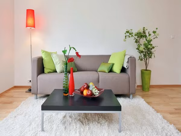 Một chiếc bàn nhỏ, một ghế sofa, một tấm thảm có thể trang trí phòng khách của riêng bạn với số tiền chi trả vừa phải. Điểm ấn tượng của phòng khách này là những chiếc gối có cùng màu sắc với cây. Hai bình hoa với màu sắc khác nhau là vẻ đẹp của căn phòng này. Phong cách này rất thích hợp cho những người trẻ bận rộn.