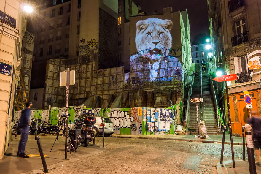 Bức tranh tường hình đầu sư tử.