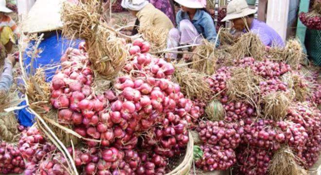 Nguyên nhân chính khiến hành tím rớt giá thảm hại là do lượng tồn kho quá nhiều.