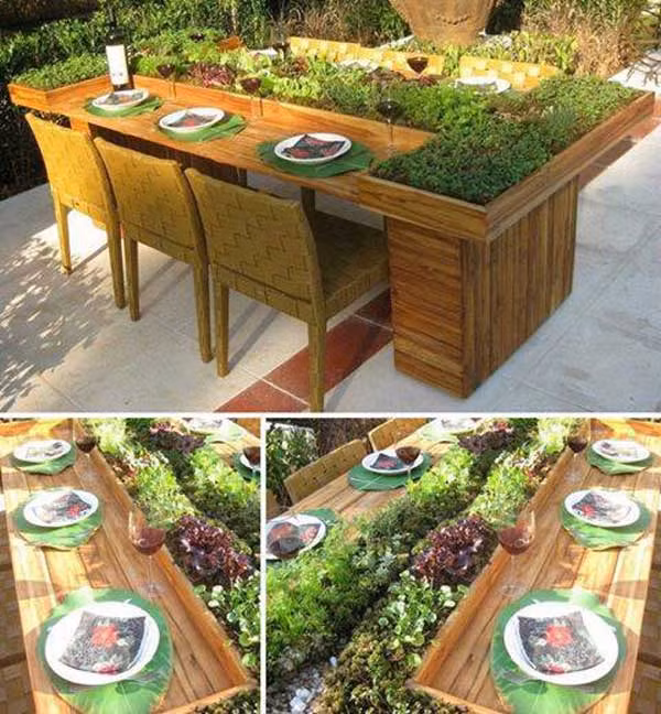 Y tuong trang tri ban tiec cuc doc voi rau co